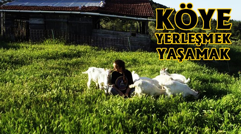 Köye yerleşmek, maliyet hesabı ve dikkat edilmesi gerekenler