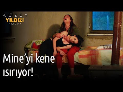 Kuzey Yıldızı İlk Aşk 30. Bölüm - Mine'yi Kene Isırıyor!