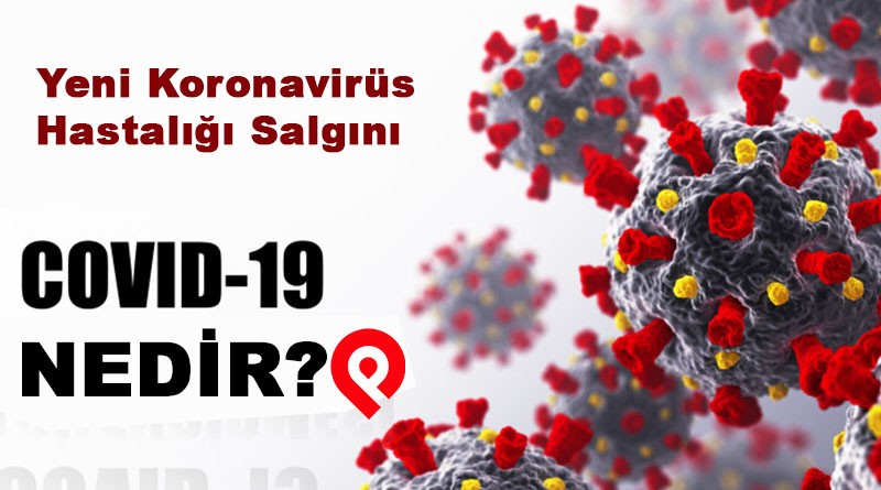 COVID-19 (Yeni Koronavirüs Hastalığı) Nedir?